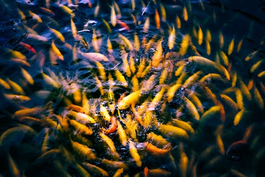 Beyond the Myth of Balance: Cultivating True Work-Life Harmony