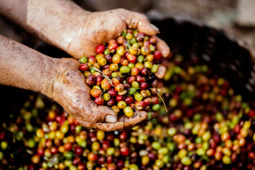 Investing with Impact: Sharpening Your Approach to Sustainable ETFs