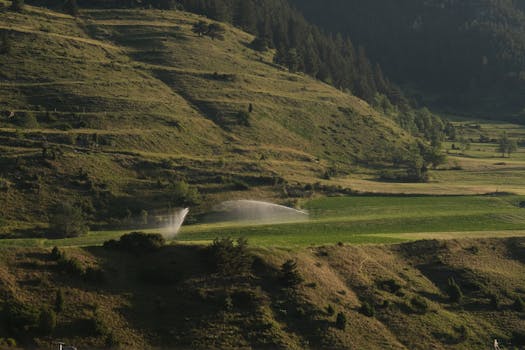 Beyond Guesswork: Mastering Your Landscape’s Thirst with Smart Irrigation